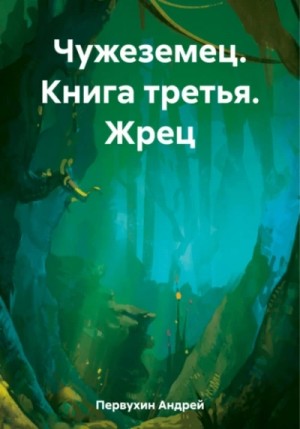 Жрец – аудиокнига