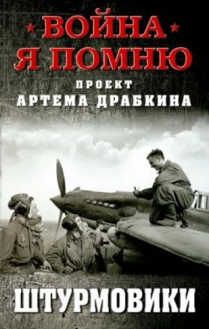 Штурмовики – аудиокнига