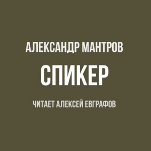Спикер – аудиокнига