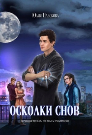 Осколки снов – аудиокнига