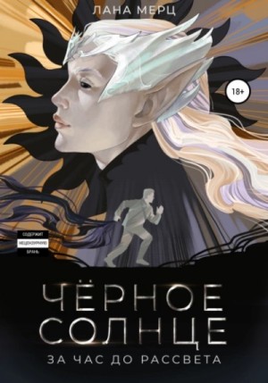 Чёрное солнце. За час до рассвета – аудиокнига