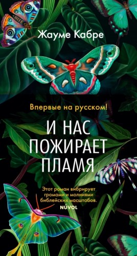 И нас пожирает пламя – аудиокнига