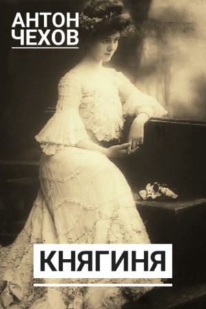 Княгиня – аудиокнига