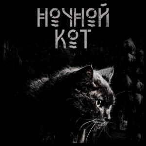 Ночной кот – аудиокнига