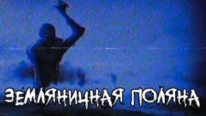 Земляничная поляна – аудиокнига
