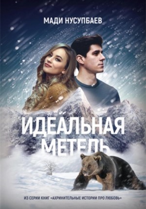 Идеальная метель – аудиокнига
