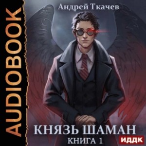 Князь шаман. Книга 1 – аудиокнига