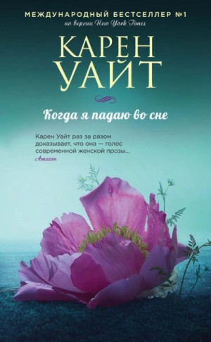 Когда я падаю во сне – аудиокнига