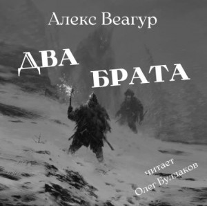Два брата – аудиокнига