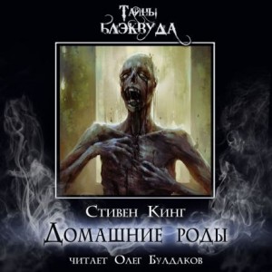 Домашние роды – аудиокнига