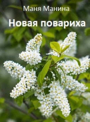 Новая повариха – аудиокнига