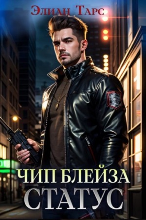 Чип Блейза. Статус – аудиокнига