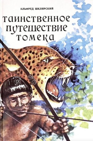 Таинственное путешествие Томека – аудиокнига