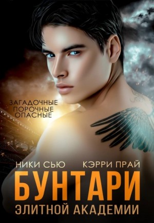 Бунтари элитной академии – аудиокнига