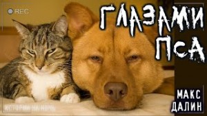 Глазами моего пса – аудиокнига
