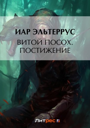 Витой Посох. Постижение – аудиокнига