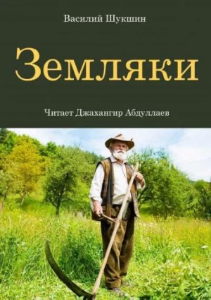Земляки – аудиокнига