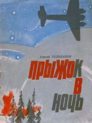 Прыжок в ночь – аудиокнига