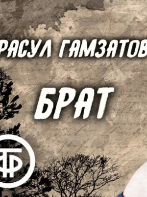Брат – аудиокнига