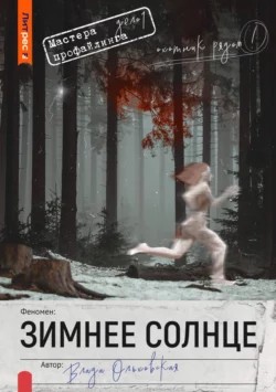 Зимнее солнце – аудиокнига