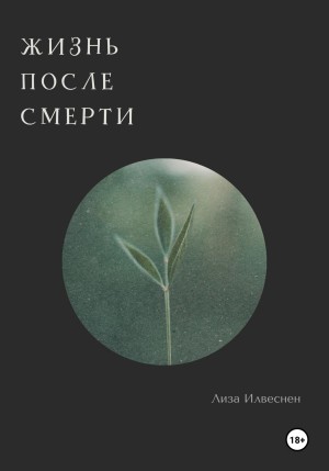 Жизнь после смерти – аудиокнига