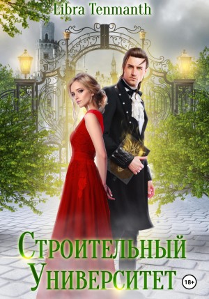 Строительный университет – аудиокнига