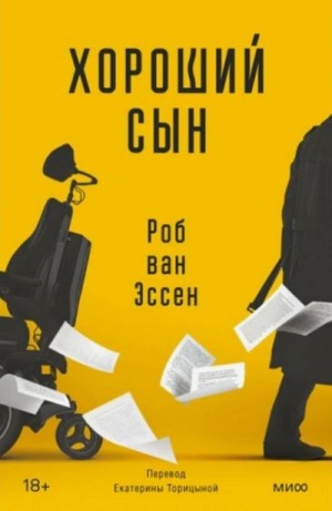 Хороший сын – аудиокнига