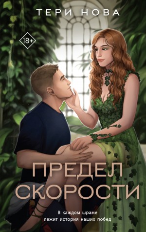 Предел скорости – аудиокнига