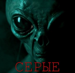 Серые – аудиокнига