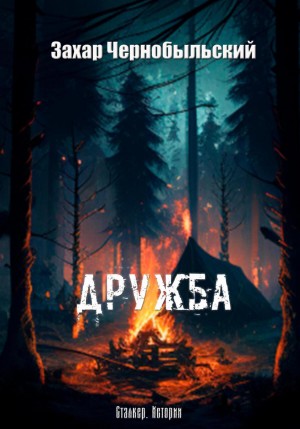 Сталкер. Истории. Дружба – аудиокнига