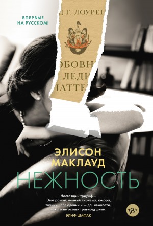 Нежность – аудиокнига