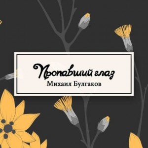 Пропавший глаз – аудиокнига