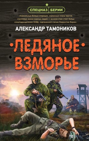 Спецназ Берии. Максим Шелестов: 6. Ледяное взморье