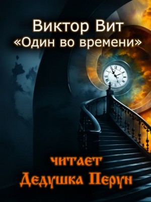 Один во времени – аудиокнига