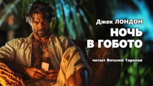 Ночь в Гобото – аудиокнига