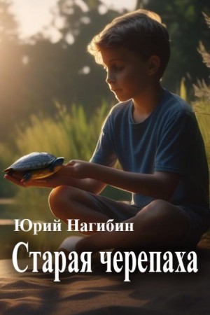 Старая черепаха – аудиокнига