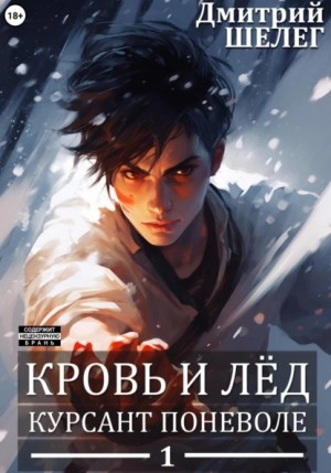 Курсант поневоле – аудиокнига