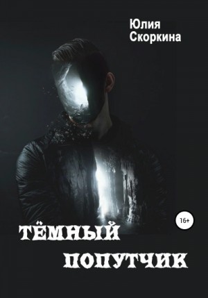 Темный попутчик – аудиокнига