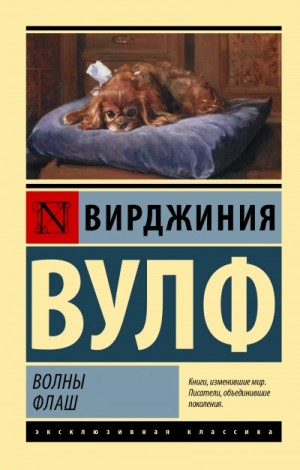 Флаш