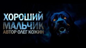 Хороший мальчик – аудиокнига