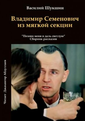 Владимир Семенович из мягкой секции – аудиокнига
