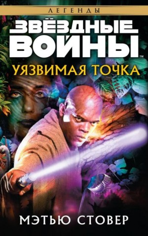 Уязвимая точка – аудиокнига