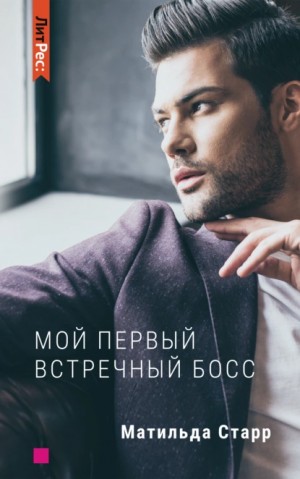 Мой первый встречный босс – аудиокнига