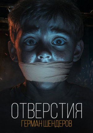 Отверстия – аудиокнига