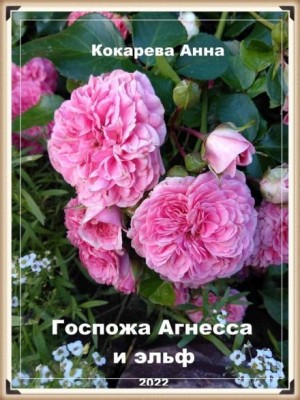 Госпожа Агнесса и эльф – аудиокнига