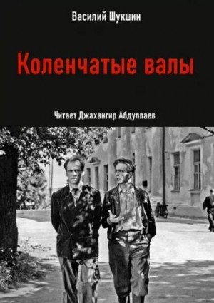 Коленчатые валы – аудиокнига