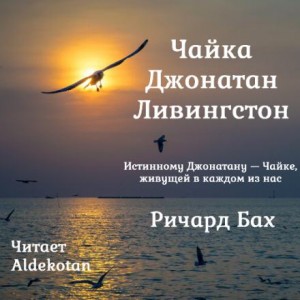 Чайка по имени Джонатан Ливингстон – аудиокнига