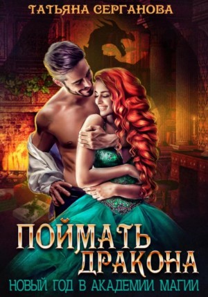 Поймать дракона. Новый год в Академии – аудиокнига