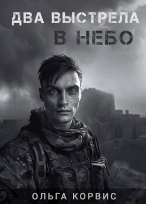 Два выстрела в небо – аудиокнига