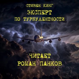 Эксперт по турбулентности – аудиокнига